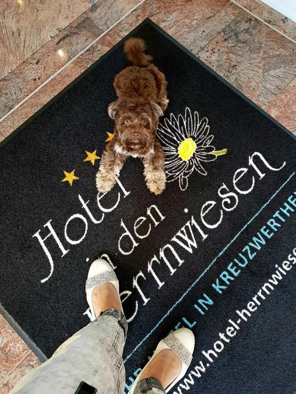 Hotel In Den Herrnwiesen Wertheim Exteriér fotografie